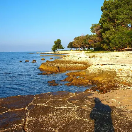 Fuer 4 Personen Ca 40 Qm In Kukci, Istrien Istrische Riviera Apartman
